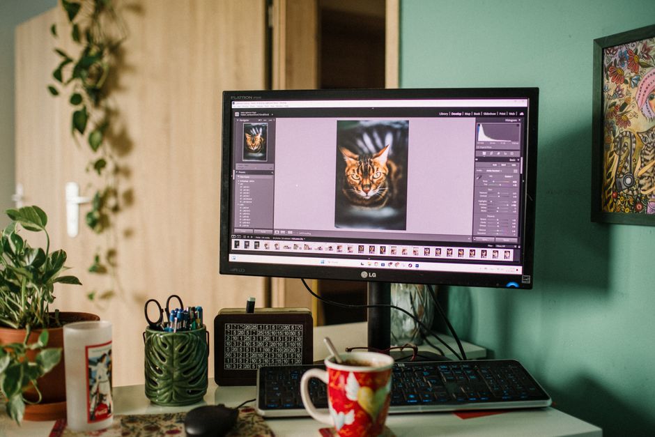 A cozy home office desk with a monitor displaying photo editing software, surrounded by plants and decor.